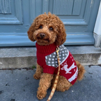 The Cozy Knit Christmas Sweater