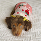 The Cozy Knit Christmas Sweater